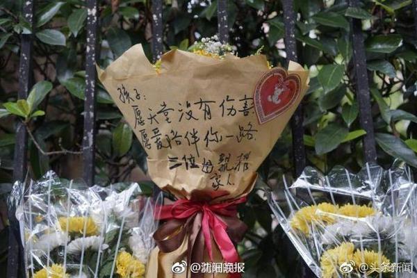 [流言板]莫里斯兄弟：愿意与约基奇哥哥来场拳击，我们轻松干翻他们